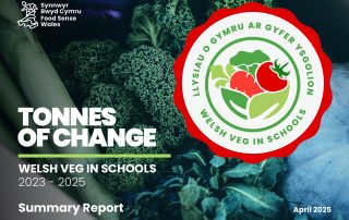 welsh veg in schools report